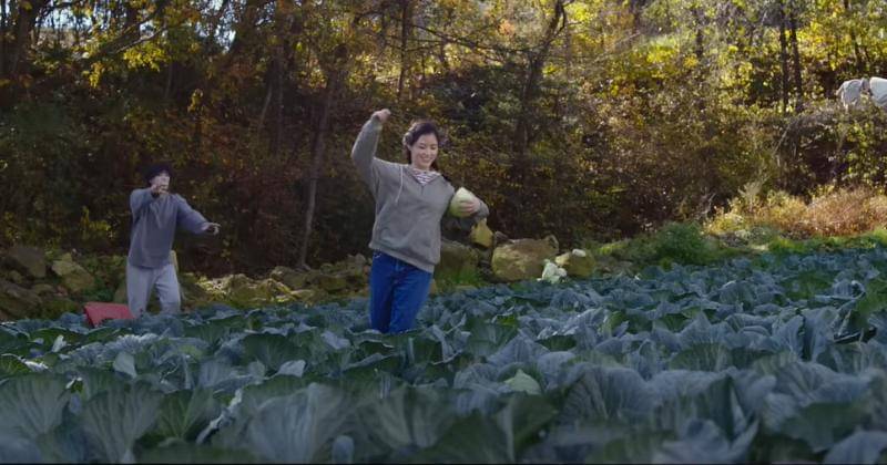 Youtube.com/Rotten Tomatoes Indie